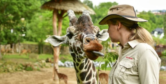 Vstupné do Zoo Jihlava