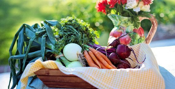 3kg bedýnka čerstvé zeleniny a ovoce jako z vlastní zahrádky