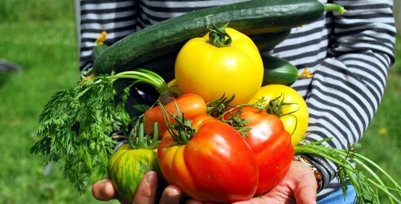 3kg bedýnka čerstvé zeleniny a ovoce jako z vlastní zahrádky