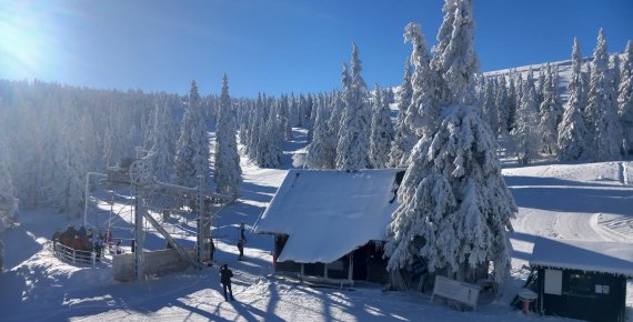 Celodenní skipas do ski areálu Praděd - Ovčárna