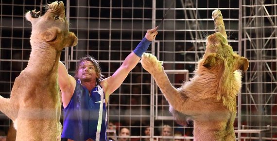 2 vstupenky za cenu 1 do cirkusu HUMBERTO v Třinci 15.5. - 19.5.2019