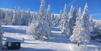 Celodenní skipas do ski areálu Praděd - Ovčárna