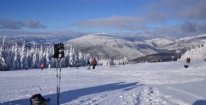 Celodenní skipas do ski areálu Kouty v Jeseníkách