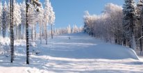 Celodenní skipas do ski areálu Kouty v Jeseníkách