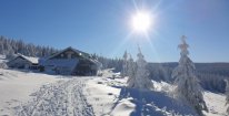 Celodenní skipas do ski areálu Praděd - Ovčárna