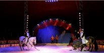 Lístek do Národního Cirkusu Originál Berousek v Olomouci