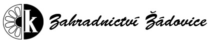 cerne logo